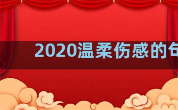 2020温柔伤感的句子