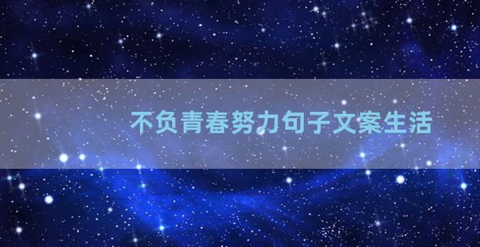 不负青春努力句子文案生活