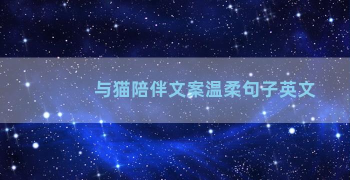 与猫陪伴文案温柔句子英文