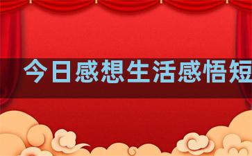 今日感想生活感悟短句子