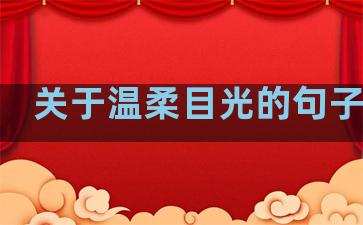 关于温柔目光的句子摘抄