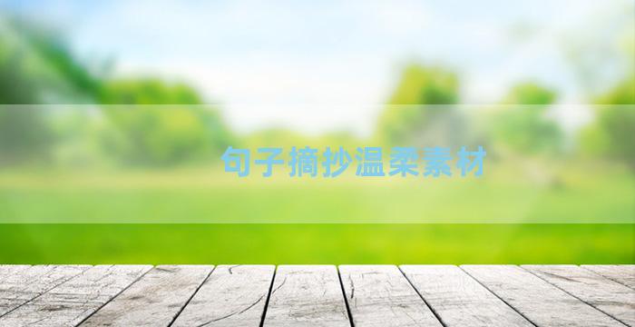 句子摘抄温柔素材