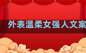 外表温柔女强人文案句子