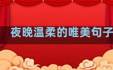 夜晚温柔的唯美句子图片