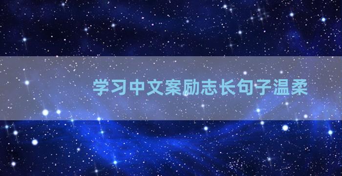 学习中文案励志长句子温柔