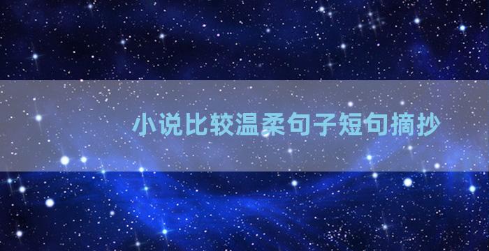 小说比较温柔句子短句摘抄