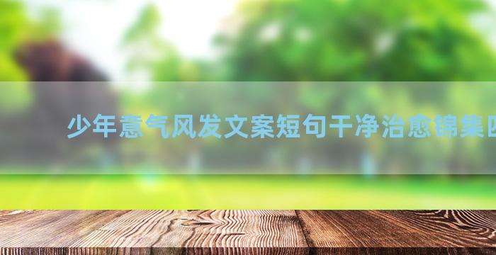 少年意气风发文案短句干净治愈锦集四十条