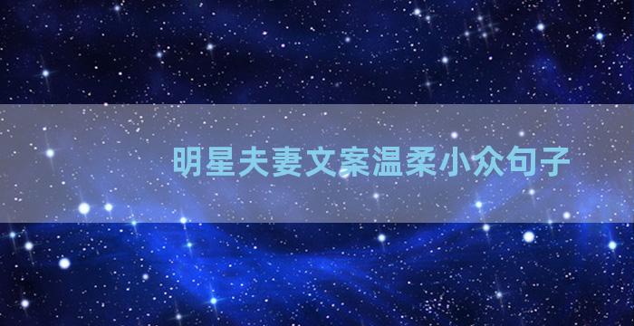 明星夫妻文案温柔小众句子