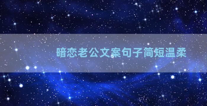 暗恋老公文案句子简短温柔