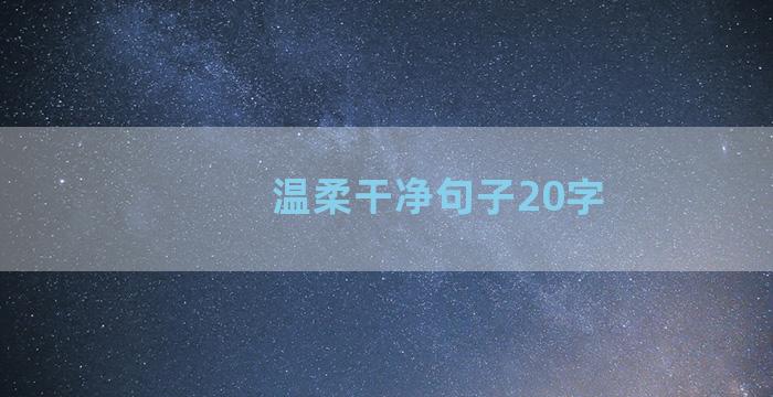 温柔干净句子20字