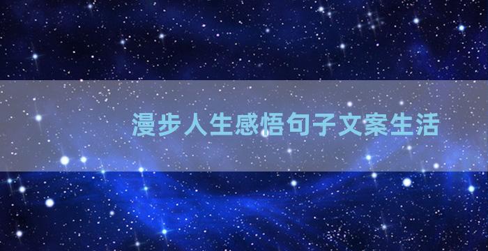 漫步人生感悟句子文案生活