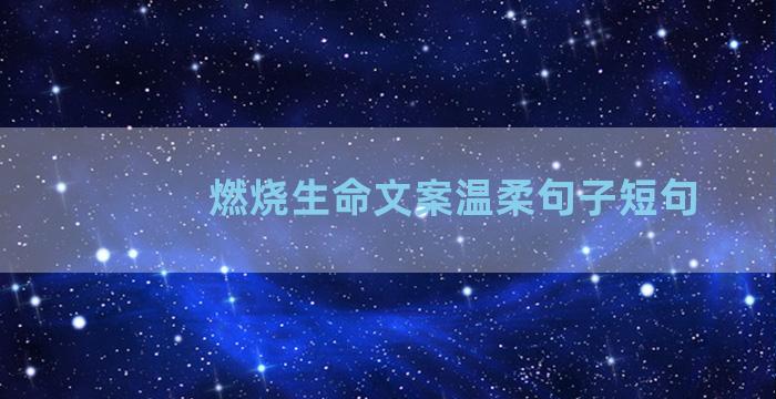 燃烧生命文案温柔句子短句