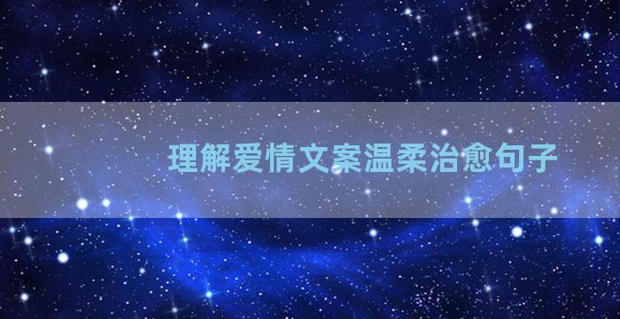 理解爱情文案温柔治愈句子