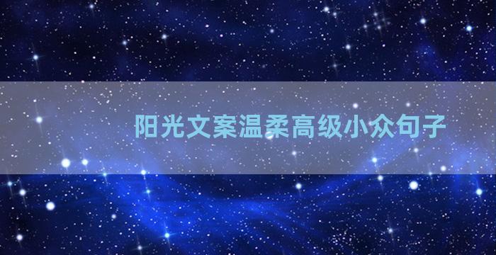 阳光文案温柔高级小众句子